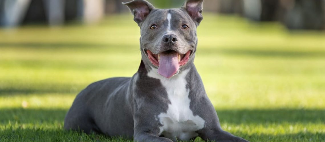 6669646264217030983623