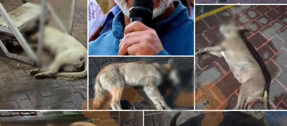 FB_IMG_1759895301962