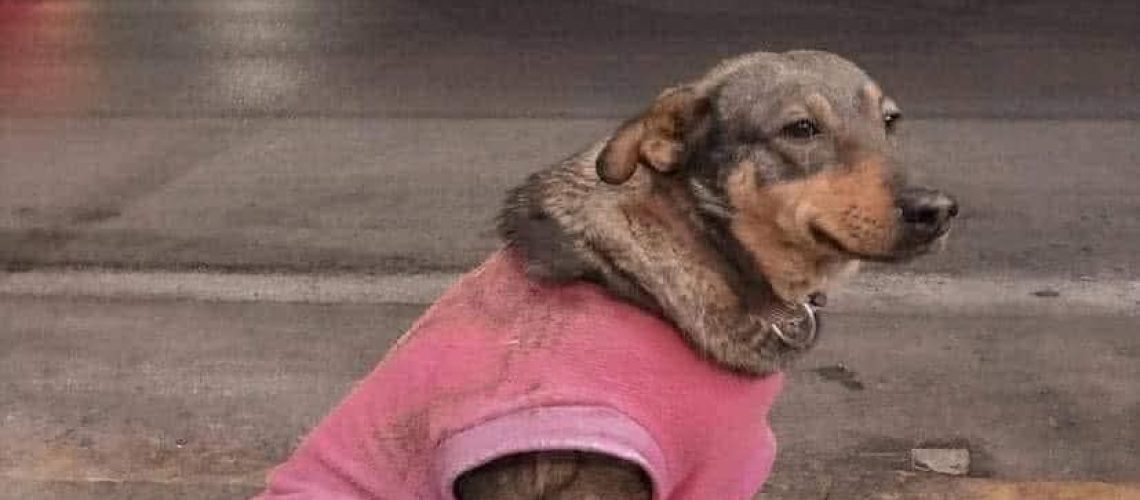 FB_IMG_1761073502432