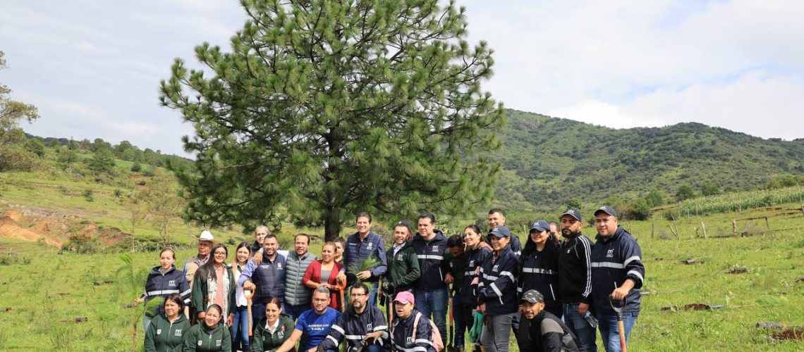 Morelia-se-acerca-a-la-meta-de-plantar-mas-de-un-millon-de-arboles-02