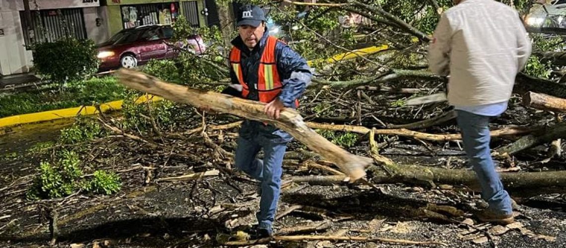 Saldo-blanco-tras-fuertes-rafagas-de-viento-del-martes-01