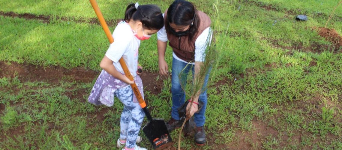 Va-Morelia-por-la-proteccion-y-rescate-del-zapote-prieto-arbol-endemico-01