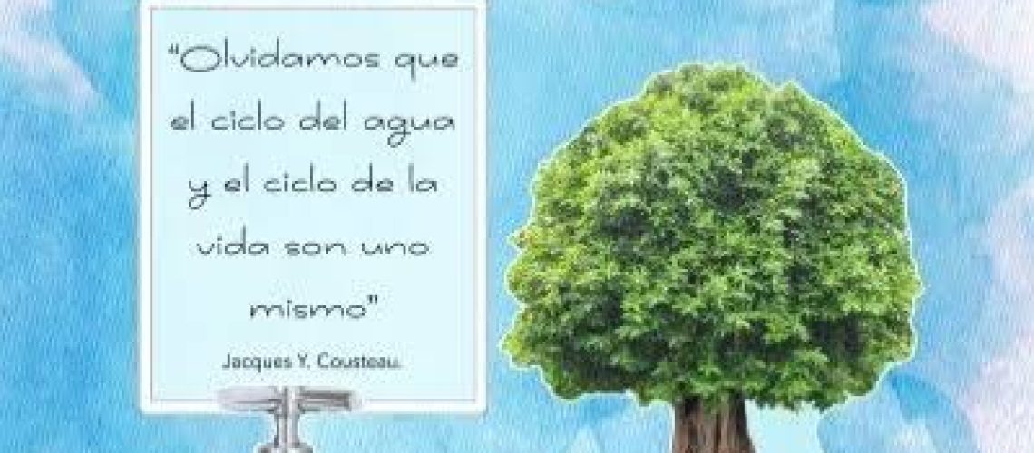 WhatsApp Image 2024-02-26 at 2.44.22 PM