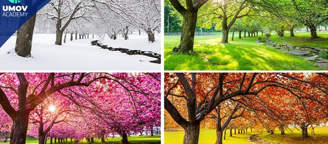 b445a363-4786-4b38-a118-1f0a70a42b30