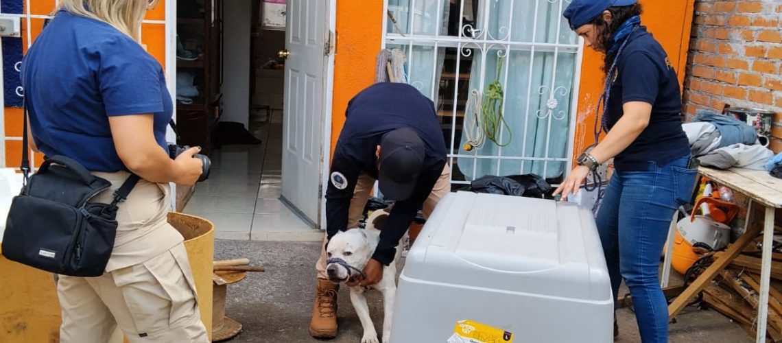 e695fcaf-1baf-4253-9adb-71acb916a671