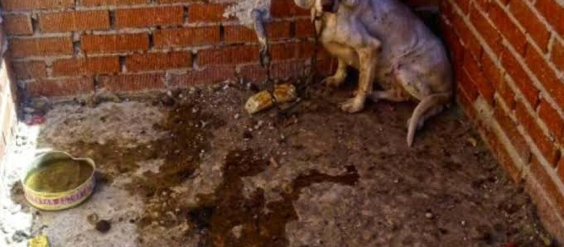 images - 2024-11-09T221023.387