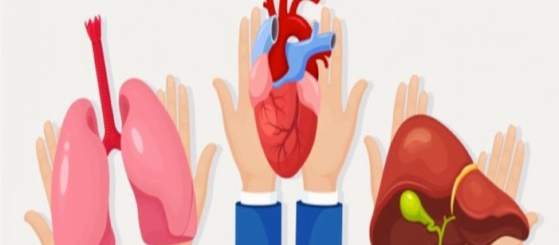 portada-donacion-organos-TAMANO-FONEMA-723x560